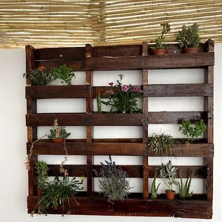 Casa Pueblo La Nueva *
